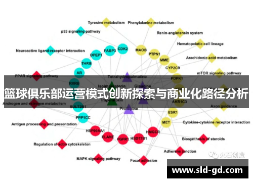 篮球俱乐部运营模式创新探索与商业化路径分析